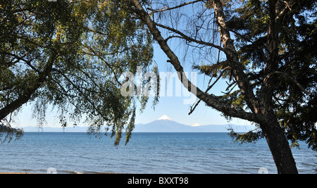 Les arbres qui encadrent un ciel bleu vue sur volcan Osorno, cône de glace sur le lac Llanquihue, du rivage à Frutillar, Sud du Chili Banque D'Images