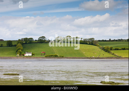 Sur les petites propriétés agricoles Hill Hill pente surplombant la baie de Courtmacsherry, Timoleague près de West Cork, Irlande Banque D'Images