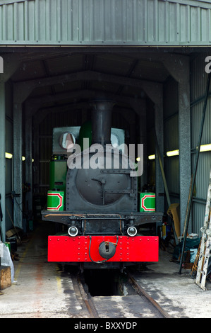 Moteur de locomotive à vapeur alimentée par Callan Slieve turf, conservé par West Clare Railway à Moyasta, comté de Clare, à l'ouest de l'Irlande Banque D'Images