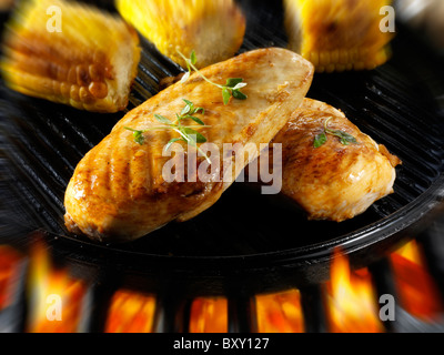 Filets de poulet cuisson sur un barbecue. Photos de nourriture, photos et images. Banque D'Images