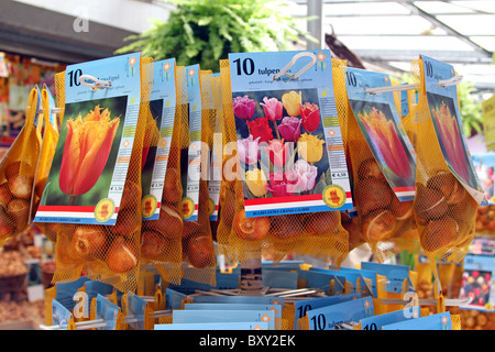 Bulbes de tulipes à la vente dans le studio Rose, marché aux fleurs d'Amsterdam, Hollande Banque D'Images