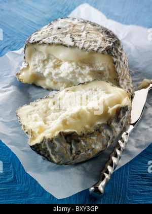 Fromage de chèvre à la ferme de fromages traditionnels français regonal de Normandie Banque D'Images