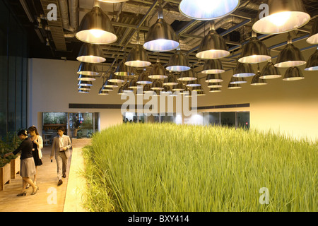 Tokyo (Japon) : Pasona Group Siège : l'Urban Farm Pasona Banque D'Images