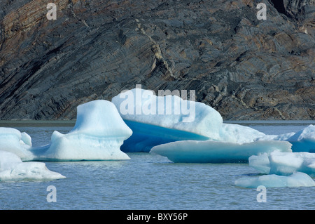 La glace flottante sur le lac glaciaire lac Grey, Parque Nacional Torres del Paine Chili Patagonie australe Banque D'Images