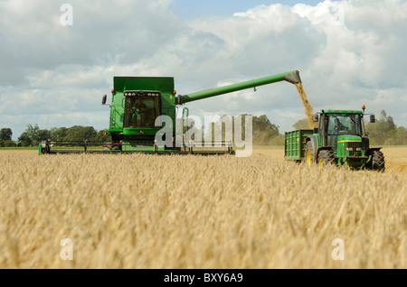 Une moissonneuse-batteuse John Deere Harvester la récolte d'orge dans un champ à Holme Gate Farm près de Warwick sur Eden Banque D'Images