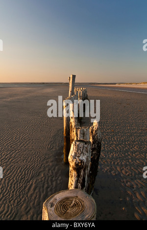 Posts sur West Wittering Beach Banque D'Images