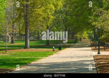 L'Université de Caroline du Sud en briques rouges de l'historique chemin de fer à cheval promenade dans Columbia, SC, États-Unis d'Amérique. (Voir Description) Banque D'Images