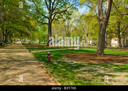 L'Université de Caroline du Sud en briques rouges de l'historique chemin de fer à cheval promenade dans Columbia, SC, États-Unis d'Amérique. (Voir Description) Banque D'Images