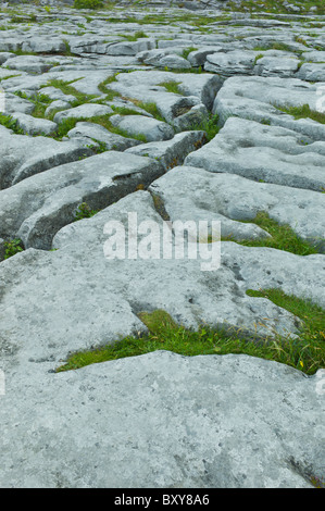 Lapiez karstiques glaciaire paysage dans le Burren, comté de Clare, à l'ouest de l'Irlande