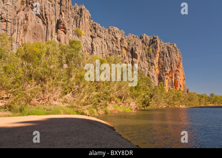 Remparts de calcaire de Windjana Gorge, Derby, Kimberley, Australie occidentale Banque D'Images