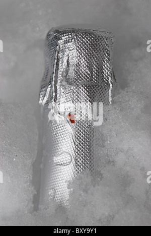 Bouteille de champagne rafraîchissante dans la neige glacée Banque D'Images