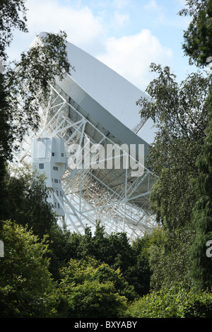 Arboretum de Jodrell Bank, en Angleterre. Vue d'été de l'Arboretum de Jodrell Bank, avec le télescope Lovell dans l'arrière-plan. Banque D'Images