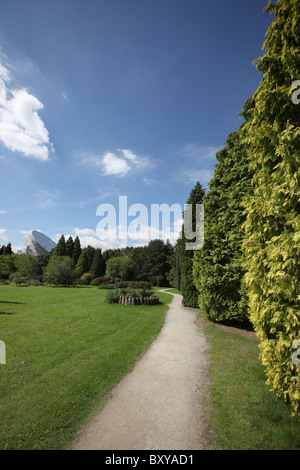 Arboretum de Jodrell Bank, en Angleterre. Vue d'été de l'Arboretum de Jodrell Bank, avec le télescope Lovell dans l'arrière-plan. Banque D'Images