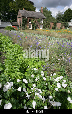 Rode Hall Country House and Gardens. Le potager clos avec les jardiniers Cottage dans l'arrière-plan. Banque D'Images