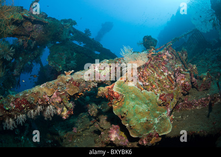 Impressions de liberté Wreck, Tulamben, Bali, Indonésie Banque D'Images