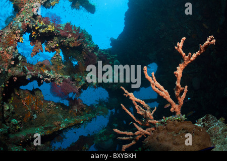 Impressions de liberté Wreck Stern, Tulamben, Bali, Indonésie Banque D'Images