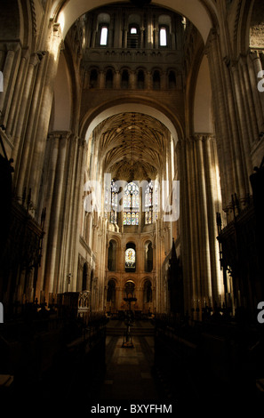 Le plafond en cathédrale de Norwich, Norwich, Angleterre Banque D'Images