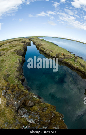 Nesgjá Asbirgi fissure volcanique,, Akureyri, Islande Banque D'Images