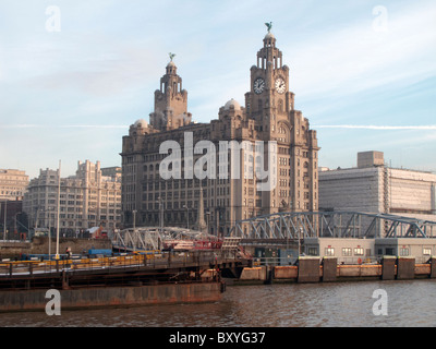 Liver Building, Pier Head Liverpool, Royaume-Uni Banque D'Images