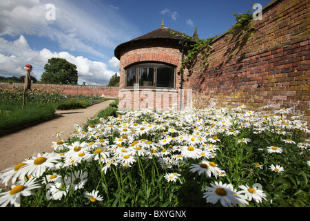 Succession de Tatton Park, Angleterre. Vue d'été de le potager, avec des marguerites en fleurs au premier plan. Banque D'Images