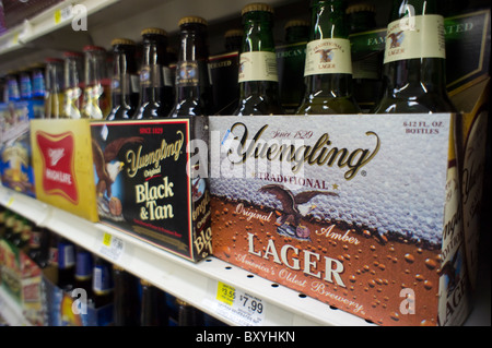 Six-pack de bière Yeungling sont vus sur une étagère d'épicerie à New York Banque D'Images