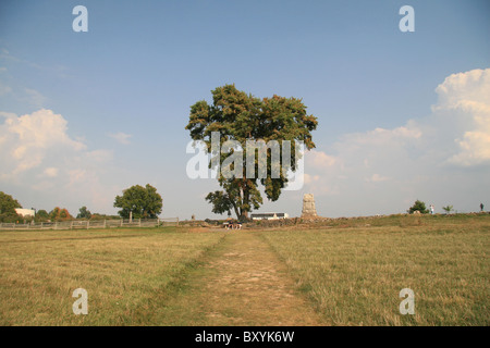 L'arbre illustré marque l'Angle qui se trouve sur la ligne des hautes eaux, cimetière Ridge, Gettysburg National Military Park. Banque D'Images