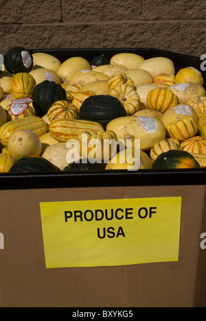 Produire différents et les gourdes squash etc cultivé aux Etats-Unis à l'épicerie Banque D'Images