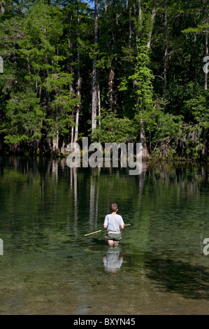 Manatee Springs le long de la rivière Suwannee North Florida Banque D'Images