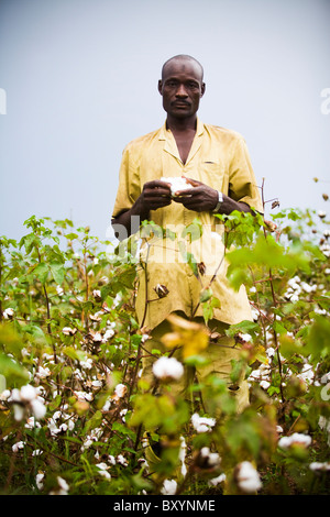 Agriculteur de coton du Mali Banque D'Images