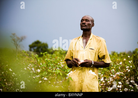 Agriculteur de coton du Mali Banque D'Images