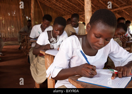 Trois filles étudient dans un toit de chaume de classe en milieu rural en Afrique Banque D'Images