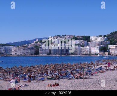 Plage de Santa Ponsa, Majorque, Baleares, Espagne Banque D'Images