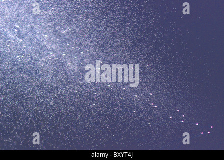 Des projections d'après-rasage / flacon de parfum Banque D'Images