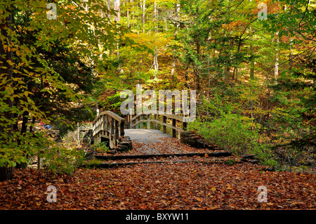 Pont de bois de Robert H. Treman State Park Trail. Banque D'Images