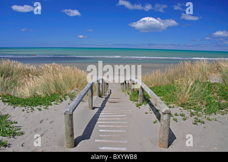 Dunes de sable de l'allée à New Brighton Beach, New Brighton, Christchurch, Canterbury, île du Sud, Nouvelle-Zélande Banque D'Images