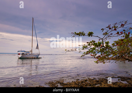 Voilier Puerto Viejo, Costa Rica Banque D'Images