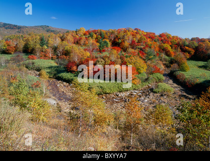 Les feuilles d'automne, Kamaishi, Iwate, Japon Banque D'Images