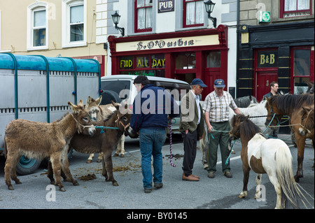 Foire aux chevaux dans la région de Market Square à Kilrush, comté de Clare, Irlande. Pour les agriculteurs traditionnels et des voyageurs de commerce de chevaux et ânes Banque D'Images