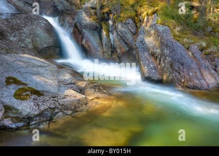 Ruisseau de montagne - paysage de montagnes Tatra, Tatras, vallée de Studena, République Slovaque Banque D'Images