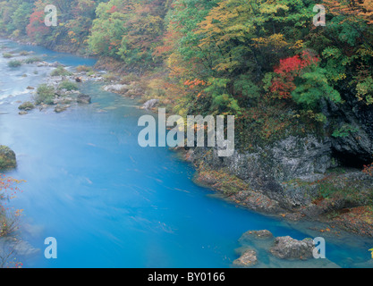 Dakigaeri Valley et les feuilles d'automne, Senboku, Akita, Japon Banque D'Images