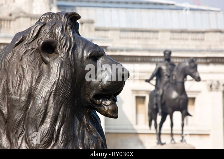 Détail du Lion à la base de la Colonne Nelson à Trafalgar Square Banque D'Images