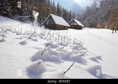 La vallée Strazyska - montagnes Tatras, Pologne Banque D'Images