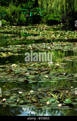 Les jardins de Claude Monet à Giverny, France Banque D'Images