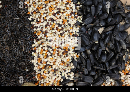 Des graines pour nourrir les oiseaux graines de tournesol millet chardon Banque D'Images