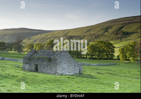 Ancienne grange en pierre isolée en ruine, pente pittoresque de la vallée à flanc de colline, terres agricoles et collines hautes éclairées au soleil - Arncliffe, Littondale, Yorkshire Dales, Angleterre, Royaume-Uni Banque D'Images