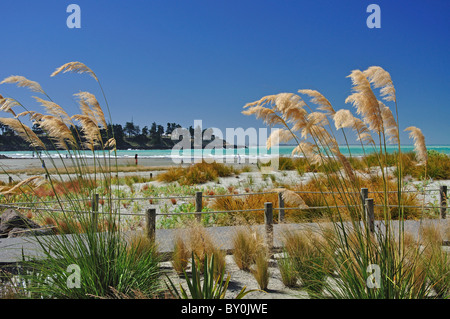 Plage et dunes de sable, Caroline Bay, Timaru (te Tihi-o-Maru), Canterbury, Île du Sud, nouvelle-Zélande Banque D'Images