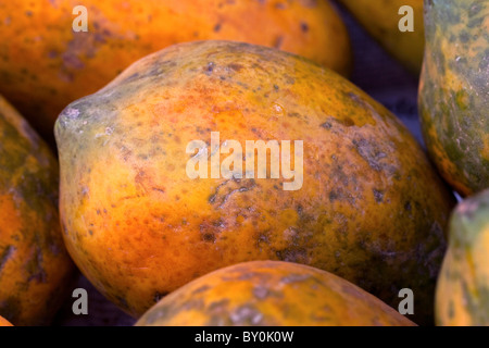 La papaye ( également connu sous le nom de papaye ou Pawpaw ) dans un marché, l'état d'Andhra Pradesh, Inde du Sud Banque D'Images