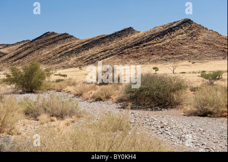 Lit de rivière à sec, Naukluft Mountains (Naukluftberge) centre de la Namibie. Cette gamme haute, ce qui intercepte peu d'humidité souffle depuis l'Océan Atlantique Banque D'Images