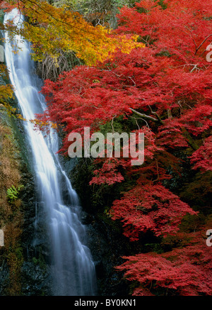 Les feuilles d'automne et de Minoh Cascade, Minoh, Osaka, Japon Banque D'Images