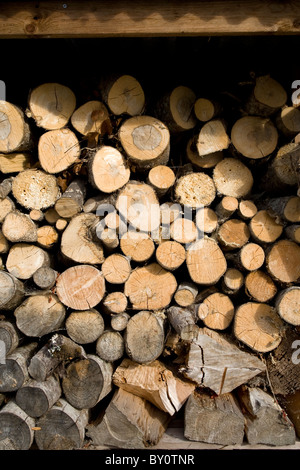 Un journal complet magasin de journaux pour poêle à bois Banque D'Images